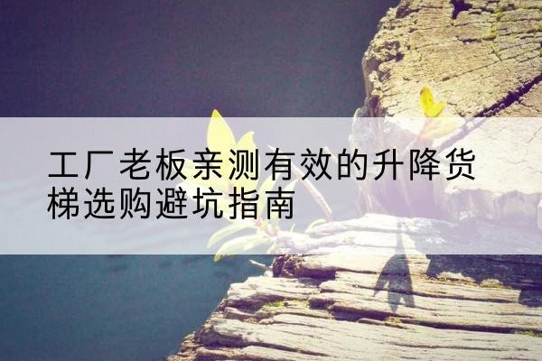卫东升降货梯怎么选-工厂老板亲测有效的升降货梯选购避坑指南