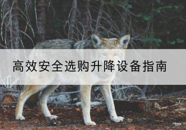 卫东升降货梯厂家推荐-*安全选购升降设备指南