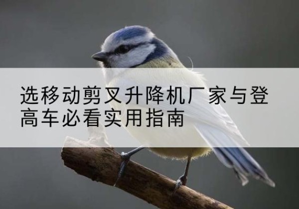 卫东电动升降机厂家-选移动剪叉升降机厂家与登高车必看实用指南