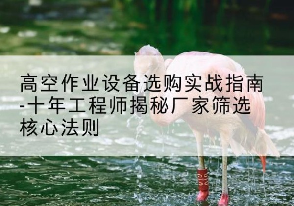 卫东剪叉式升降机厂家-高空作业设备选购实战指南-十年工程师揭秘厂家筛选核心法则