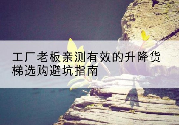 卫东升降货梯怎么选-工厂老板亲测有效的升降货梯选购避坑指南